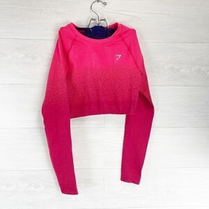 Gymshark Adapt Seamless Long Sleeve Ombre Crop Top